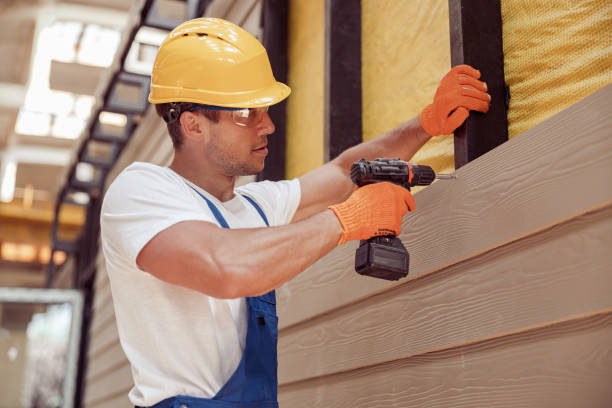 Best Fascia and Soffit Installation  in Wanatah, IN